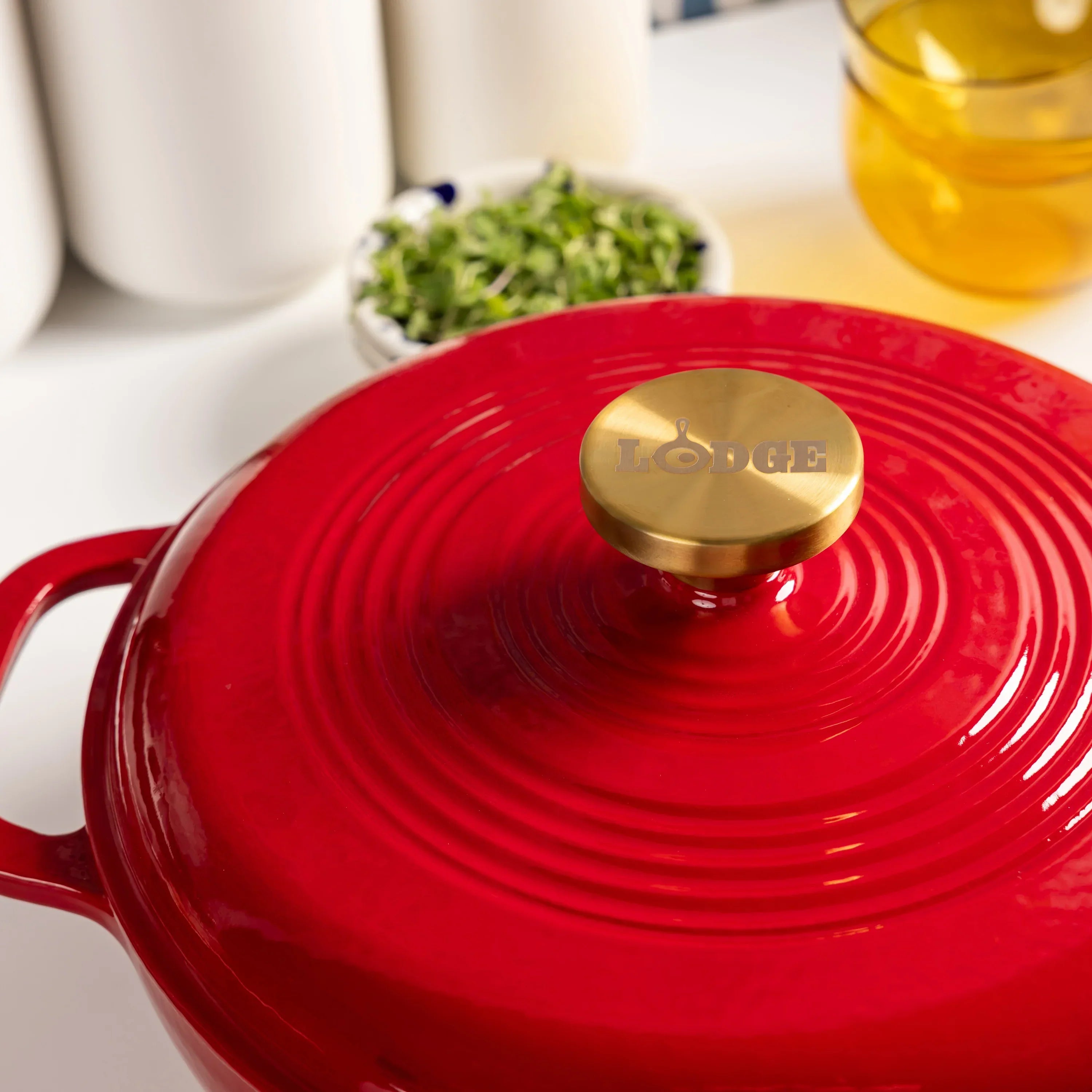  lodgecastironstore.us.com